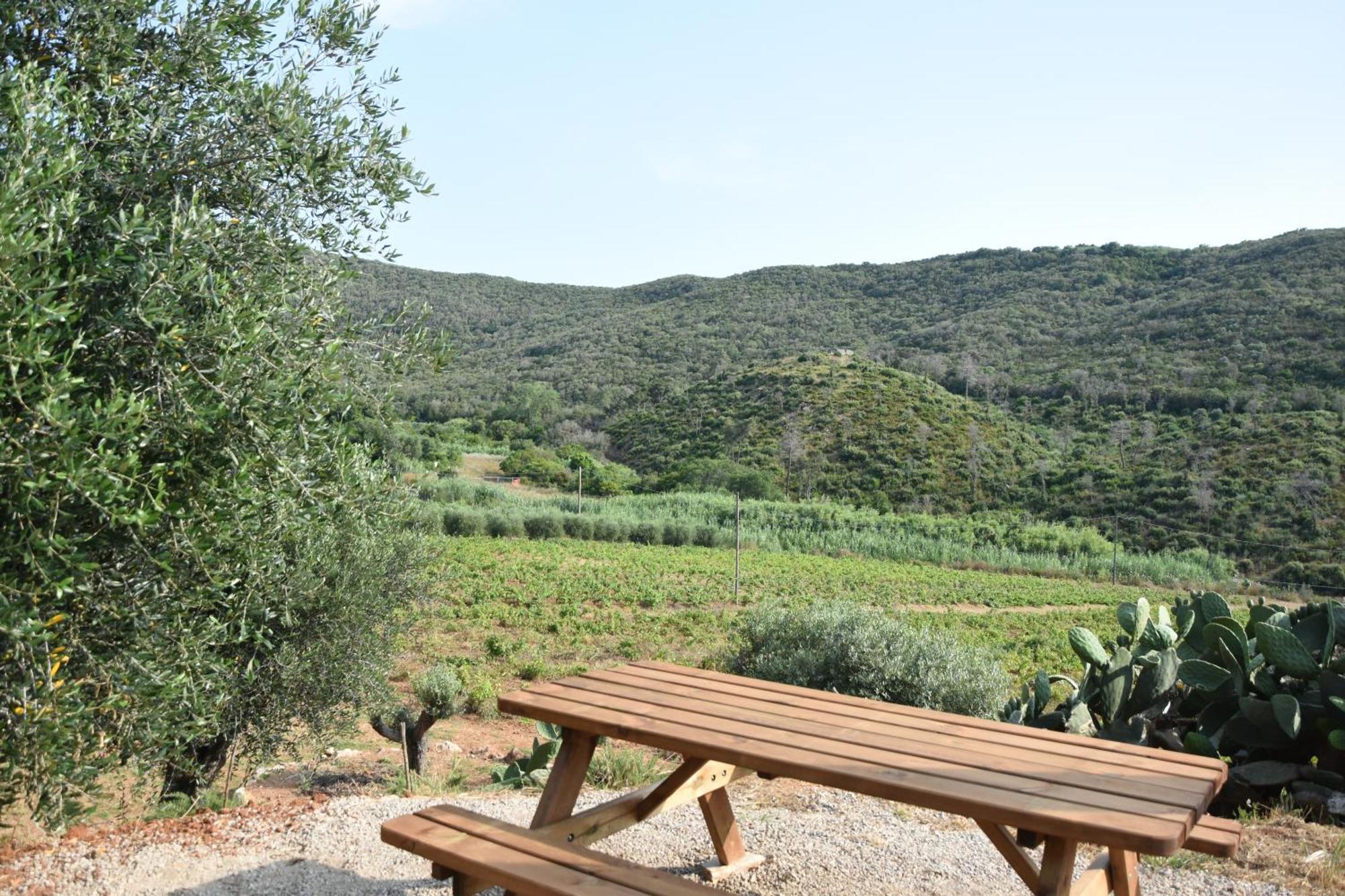 Magazzini  Elba Borgo Di Latrano 아파트 외부 사진
